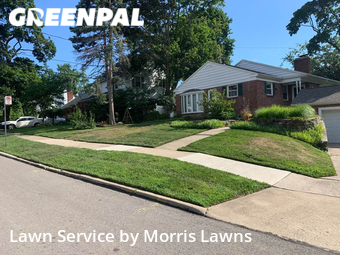 Lawn Care Service nearby Toledo, OH, 
