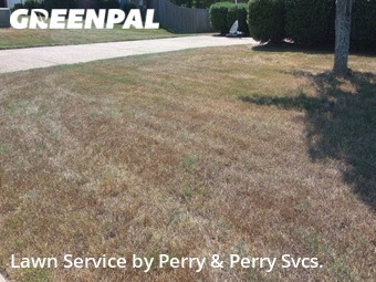Lawn Mowing Service nearby Pearl, MS, 
