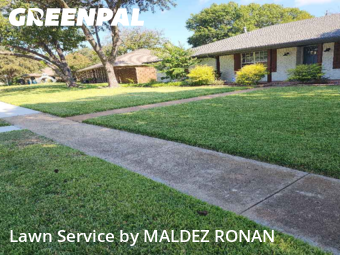 Lawn Care Servicein Richardson,75080,Grass Cutting by MALDEZ RONAN, work completed in Dec , 2025