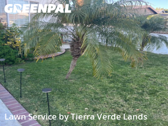 Lawn Cut nearby Carson, CA, 