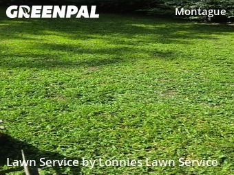 Yard Cuttingin Nashville,37115,Lawn Cutting by Lonnies Lawn Service, work completed in Jun , 2026