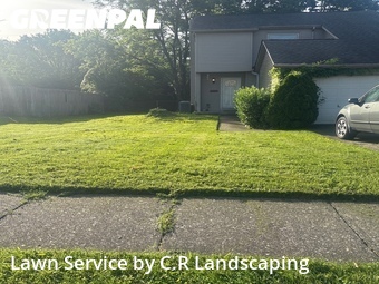Lawn Mowing nearby Lexington, KY, 