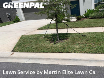 Grass Cut nearby Wesley Chapel, FL, 