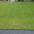 residential-lawn-cutting-businesses-in-The Villages-FL