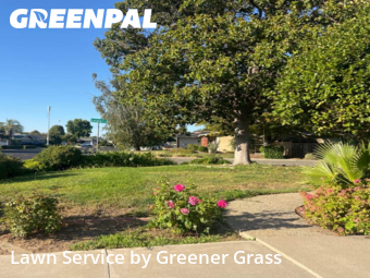 Work completed by local-lawn-care-services-in-Livermore-CA