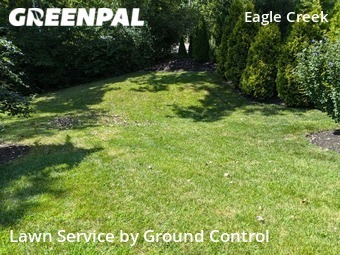 Grass Cut nearby Indianapolis, IN, 