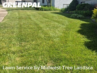 Grass Cutting nearby Orland Park, IL, 