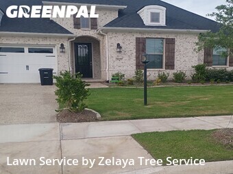 Lawn Carein Mesquite,75181,Lawn Cutting by Zelaya Tree Service , work completed in Jun , 2026