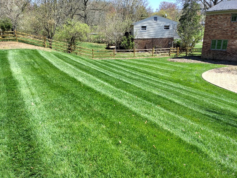 elevated-llc-lawn-care-services-in-cincinnati-oh