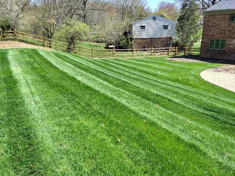 Yard mowing company in Cincinnati, OH, 45245