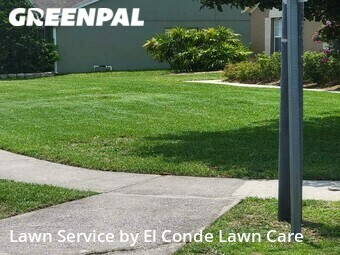 Grass Cut nearby Orlando, FL, 