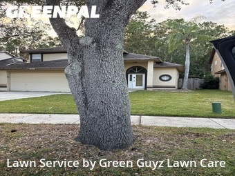 Lawn Servicein Orlando,32825,Yard Mowing by Green Guyz Lawn Care, work completed in Nov , 2025
