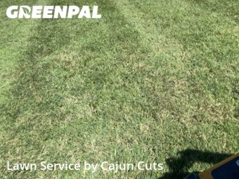 Lawn Mowing nearby Murfreesboro, TN, 