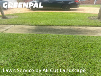 Lawn Cut nearby Pembroke Pines, FL, 