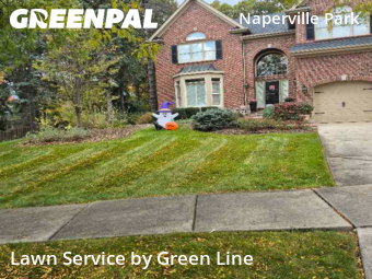 Grass Cutting nearby Naperville, IL, 