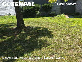 Work completed by residential-lawn-cutting-businesses-in-Dublin-CA