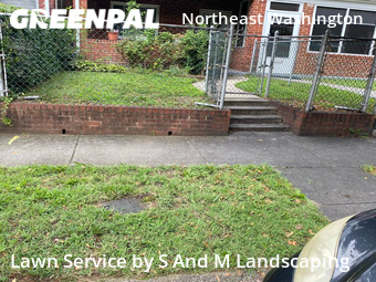 Grass Cut nearby Washington, MD, 