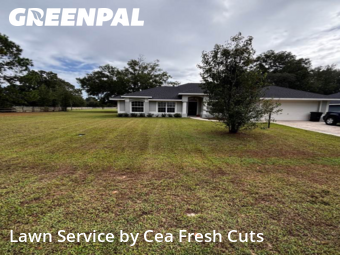 Lawn Cut nearby Ocala, FL, 