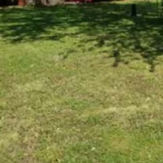 local-lawn-care-services-in-Sperry-OK
