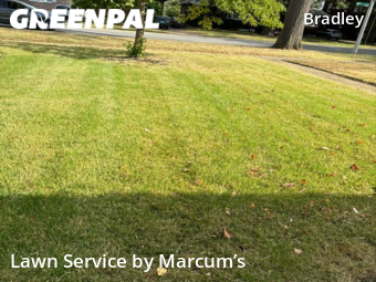 Lawn Care nearby Louisville, KY, 