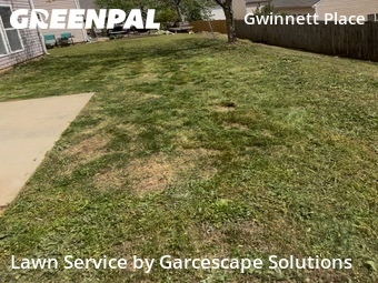 Lawn Cut nearby Duluth, GA, 