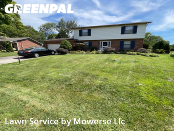 Lawn Maintenance nearby Louisville, KY, 
