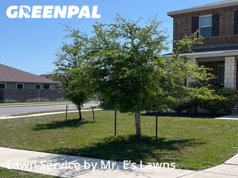 Yard Cutting nearby San Antonio, TX, 