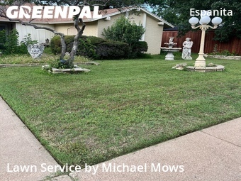 Yard Mowing nearby Irving, TX, 