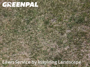 Lawn Cuttingin Castle Rock,80104,Lawn Cut by Inspiring Landscape, work completed in Nov , 2025