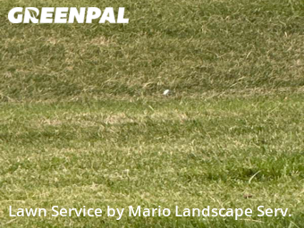 Yard Cutting nearby Zion, IL, 