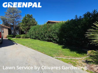 Yard Cutting nearby Lancaster, CA, 