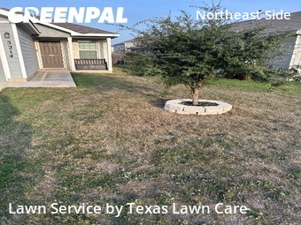 Yard Mowingin Converse,78109,Lawn Cutting by Texas Lawn Care Serv, work completed in Feb , 2026