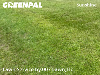 Grass Cut nearby Lehigh Acres, FL, 