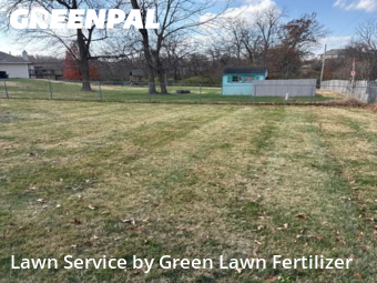 Grass Cutting nearby Springfield, MO, 