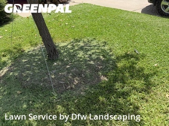 Grass Cut nearby Mc Kinney, TX, 