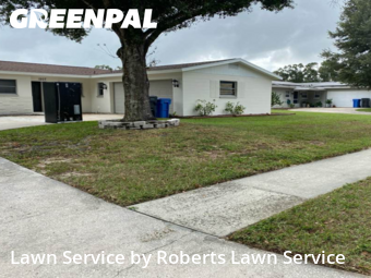 Lawn Care Servicein Brandon,33510,Lawn Cut by Roberts Lawn Service, work completed in Oct , 2025
