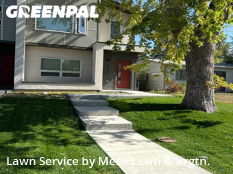 Yard Cutting nearby Englewood, CO, 