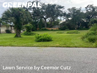 Lawn Cutting nearby Daytona Beach, FL, 