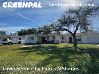 Lawn Mowingin Tampa,33607,Lawn Service by Palms N Shades , work completed in Dec , 2025