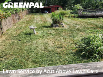 Mowing Services in Bethel Park, 15102, Lawn Upkeep by Acut Above Lawn Care, work completed in Nov , 2025