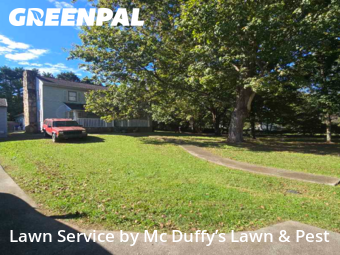 Yard Mowing nearby Kodak, TN, 