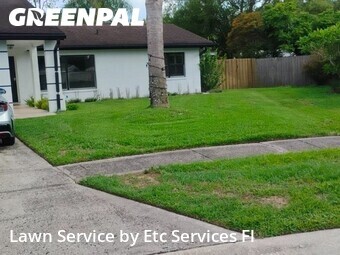 Lawn Carein Clearwater,33760,Grass Cutting by Etc Services Fl, work completed in Jun , 2026