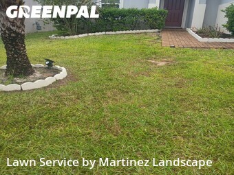 Grass Cutting nearby Minneola, FL, 
