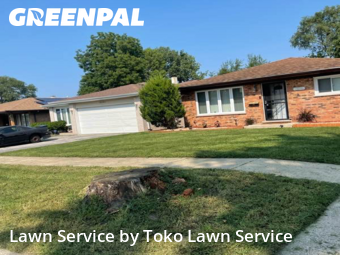 Lawn Care nearby Dolton, IN, 