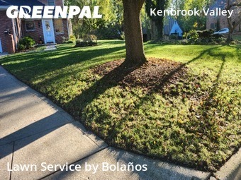 Grass Cut nearby Columbus, OH, 