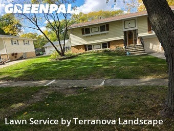 Turf Services in Downers Grove, 60516, Grass Services by Terranova Landscape, work completed in Nov , 2025