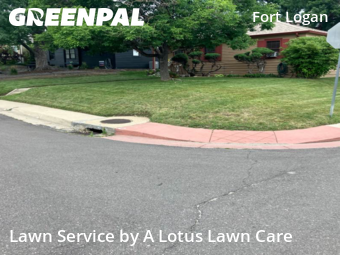 Lawn Cut nearby Denver, CO, 
