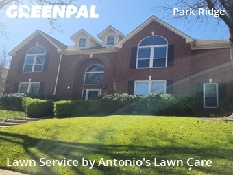Grass Cut nearby Plano, TX, 