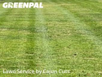 Yard Cutting nearby Murfreesboro, TN, 