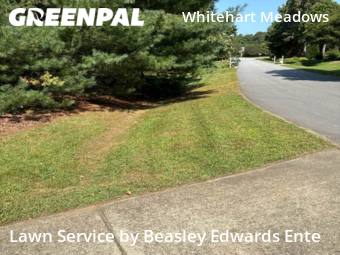 Yard Cutting nearby Raleigh, NC, 